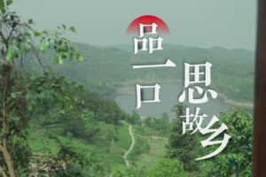 荣县花茶宣传片-《品一口，思荣州》